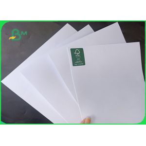 80 Grams Smooth Surface Wear Resistance Inkjet Plotter Paper In Roll