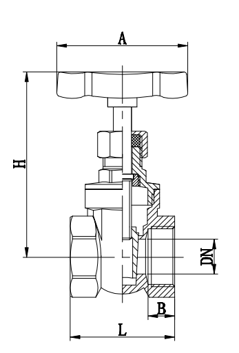 ACS 4" Brass Gate Valve