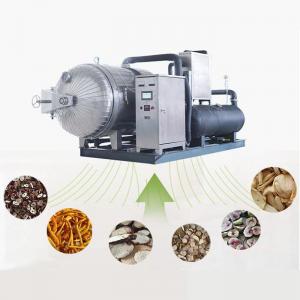 Cheap Vacuum Stainless Steel Industrial Freeze Dried Fruit Machine for sale