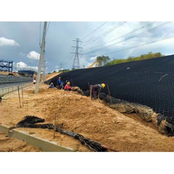 Quality 150mm Plastic Honeycomb HDPE 3D Geocell For Pond wholesale