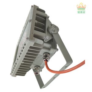CREE Indoor Outdoor Stadium Ex Proof Led Flood Light