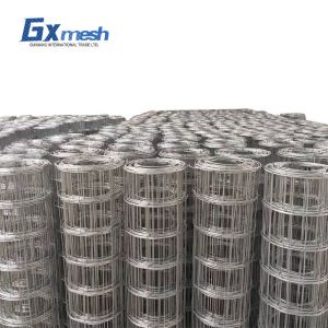 Factory Manufacture Various customized galvanized welded wire mesh 1*2 2*2 2*4 4