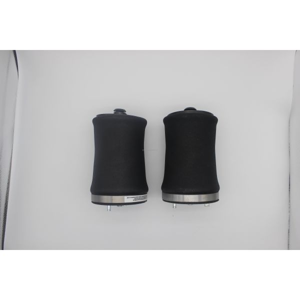 Replace/Repair Purpose 37121095580 Auto Parts for BMW E53 X5 Shock Absorber Spring Air