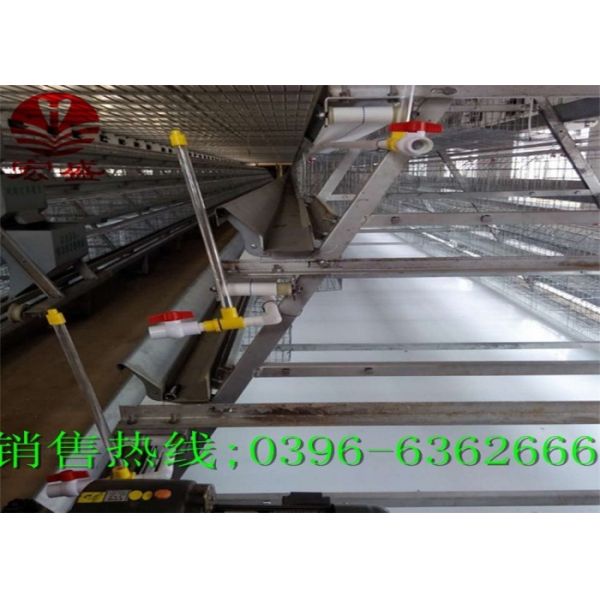 Custom Automatic Manure Removal System A Type Poultry Farm Machine Long Service