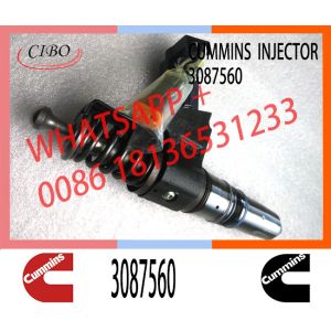 N14 Series Engine Common Rail Fuel Injector 4307516 3411691 3087560 3411765 for