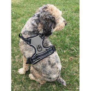 Cheap No Pull No Choke Dog Harness With 3 Snap Buckles for sale