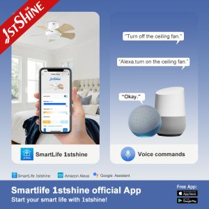 Energy Saving 28 Inch LED Ceiling Fan for Low Ceilings Metal Body and Flush