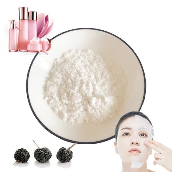 Food Grade Black Pepper Extract Powder Multi Functional Tetrahydropiperine 98%