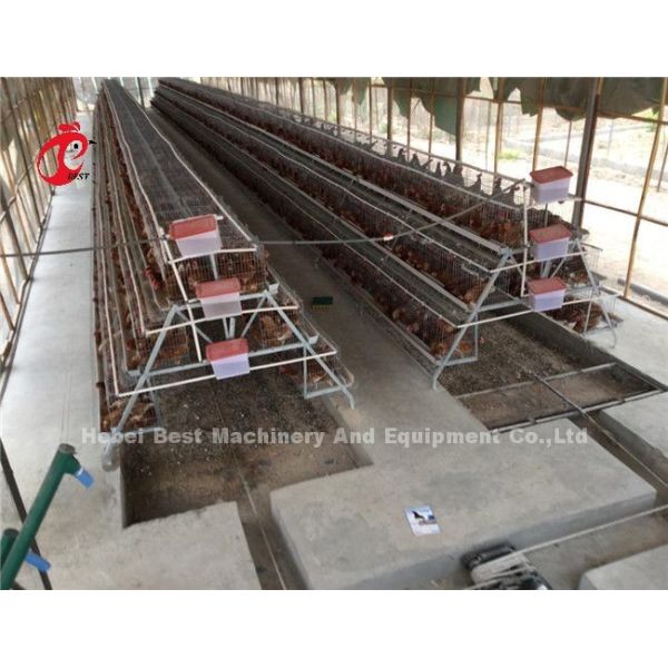Commercial Broiler Chicken Poultry Meat Battery Cage System Ada