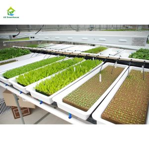 110L Automatic Fertilizing Machine Integration Irrigation Fertilization System