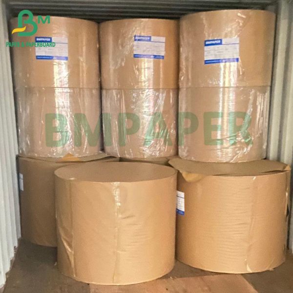 Quality One Sided Coated White FBB Paperboard 250GSM Good Printing effect wholesale