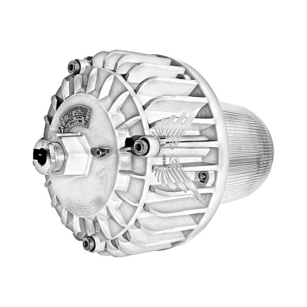 30W LED Security Flood Light