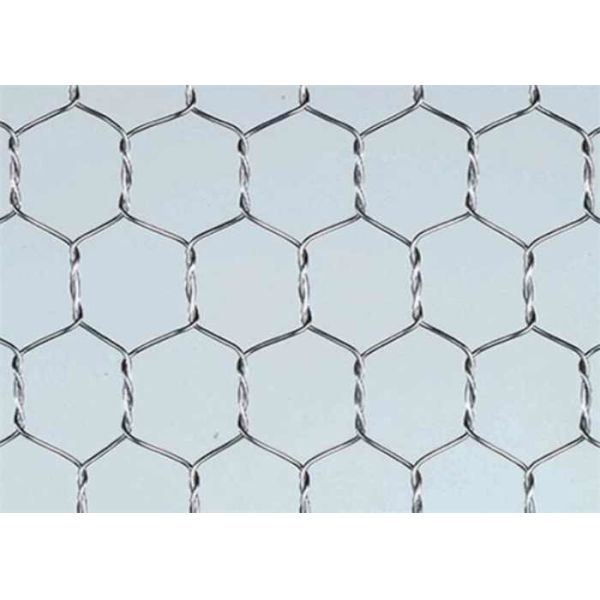 1/2 Inch Chicken Wire Mesh Roll Hardware Cloth Galvanized 19 Gauge For Garden