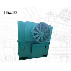 IP55 Voltage 4-Pole Induction Electric Motors With IC611 Cooling Method