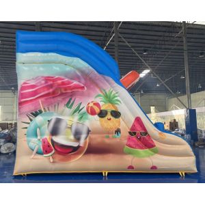 0.55mm PVC Commercial Inflatable Water Slides Renting Inflatable Slides