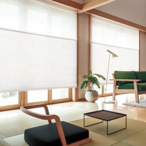 WELLSOURCE Manual Cordless Day and Night Cellular Shades Non Blackout Light