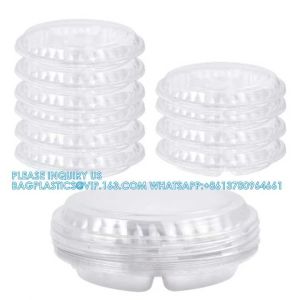 10 Inch Disposable Divided Plastic Food Tray Platter Appetizer Tray With Lid