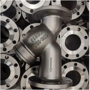OEM Port Size Stainless Steel Filter Flange Y Strainer with General Design and