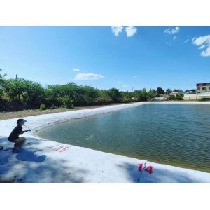 Aqua-Safe™ Non-Toxic Geomembrane Liner with Excellent Seepage Control and