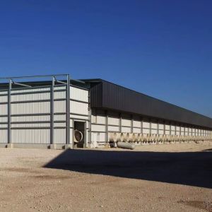Fast-Assemble Weather-Resistant Steel Structure Warehouse with Fireproof
