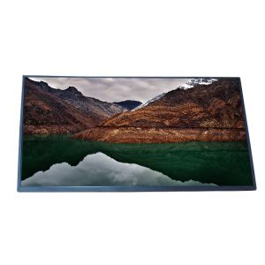 EV238FHM-N10 23.8 Inch LCD Panel Screen 1920*1080 FHD LCD Displays