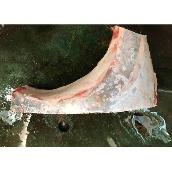 Frozen Yellowfin Tuna Kama