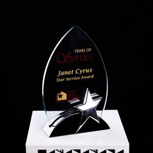 Craft Souvenir German Statue Trophies with Transparent color