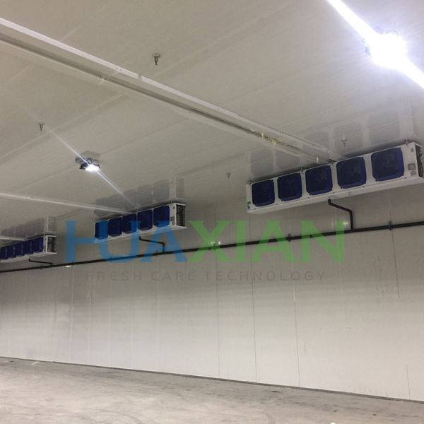 Quality -18 Degrees Celcius Building Food Storage Walk in Freezer wholesale
