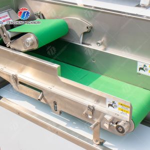 Double head vegetable cutting machine papaya chieh qua pumpkin wax gourd Ginger