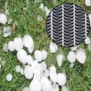 HDPE/PE Greenhouse/Farm Vegetable Hail Protection Screen Plant Anti-Hail Netting