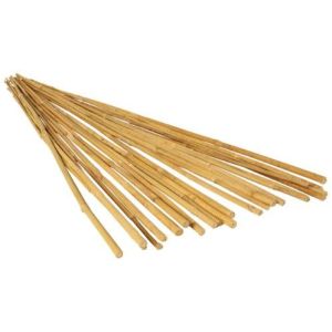 7ft Bamboo Plant Support Sticks