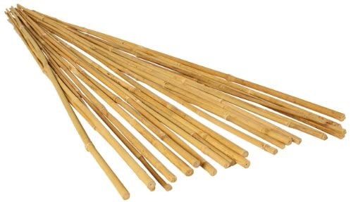Quality 7ft Bamboo Plant Support Sticks wholesale
