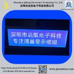 STN FSTN 24064 Dots Matrix 12 O'Clock COB LCD Display Module