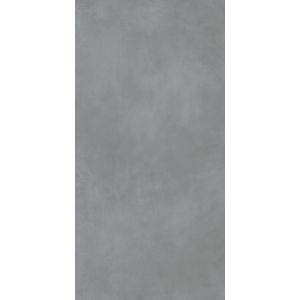 Large Format Cement Look Floor Tiles Porcelain Matte Dark Structure 60*120cm