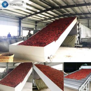 Chili Chrysanthemum Cassava Drying Belt Conveyor Dryer Machine