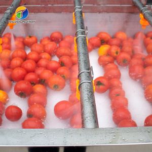 China SS 380V Industrial Vegetable And Fruit Washing Machine on sale