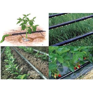 Cheap Drip Irrigation Pipe Production Line With Single Screw Extruder SJ65 / 33 High Speed for sale