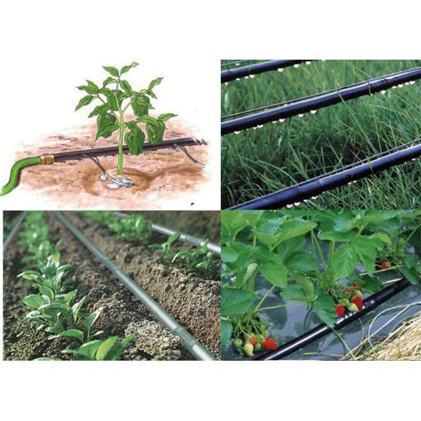 Drip Irrigation Pipe Production Line With Single Screw Extruder SJ65 / 33 High