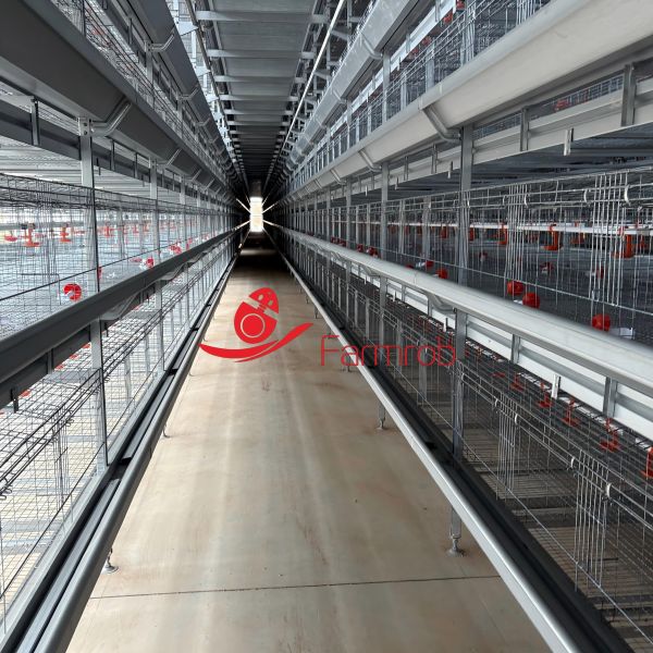 Quality 40000 chicks Poultry Battery Cage System with Integrated Ventilation System wholesale