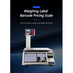 Streamlined 30kg Division 10g Table Scale with Advanced Printing and Bar Code