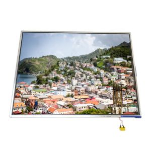 Cheap LTM15C428L 15.0 inch 1024*768 TFT LCD Display Screen Panel for sale