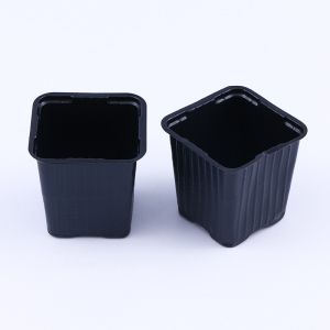 China Customized Square Vacuum Formed Black PP PS Plastic Plant Planting Pot Basin Transplanting Garden Maintenance Tray on sale