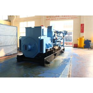 800kw 1000kva Silent Natural Gas Power Plant Generator Set with IP23 Protection