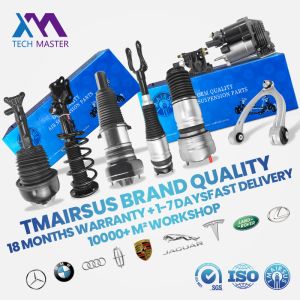 2033201330 Mercedes Benz C203 Coil Spring Shock 2004-2008 Front Shock Absorber