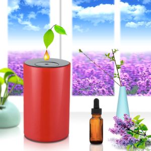 Car Nebulizer 80sqm Portable Aroma Diffuser Rechargeable