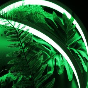 DC24V IP67 Silicone LED Neon Light RGBW Color 4 In 1 SMD5050 Vertical Bending