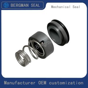 Cheap BERGMAN Replace Grundfos GLF-SPK-12mm SPK 2/4 Air Conditioning Pump Mechanical Seal for sale