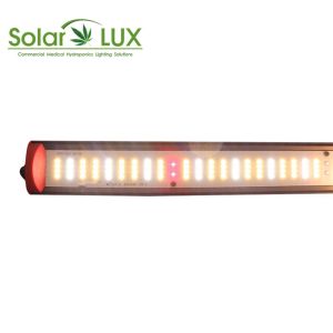 100W Samsang LM301B ETL Listed To UL8800 LED Horticultural Bar Light
