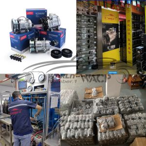 DKS17 4PK Automobile Air Conditioning For Compressor Hongqi