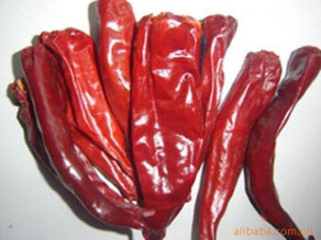 Stemless Red Jinta Chilli Pepper HACCP KOSHER Standard
